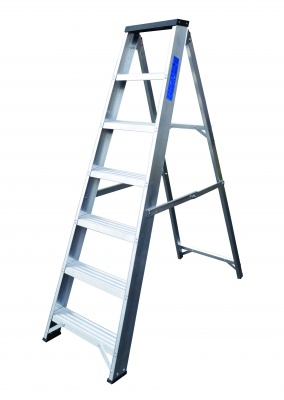 Lyte Swingback Step Ladder With Tooltray